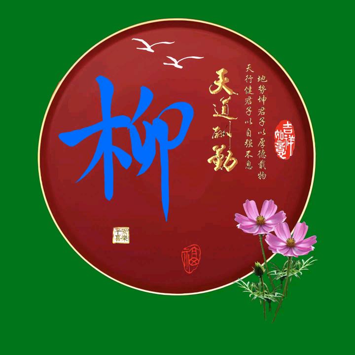 爱拼才赢liuguozhen