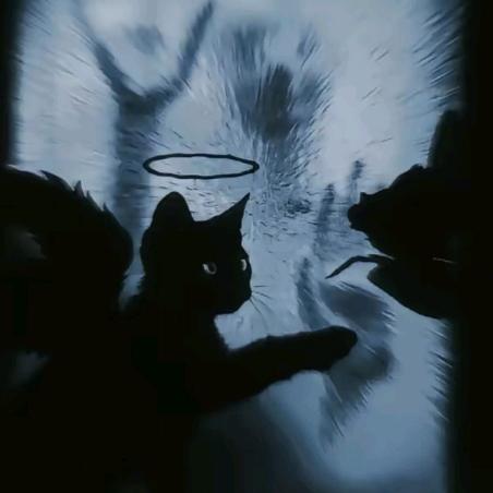 如果我是特别的