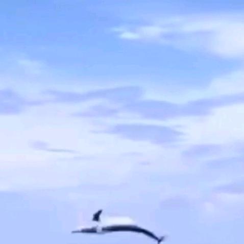 ঞৣঁ心🍒归᭄零ঞৣ᭄