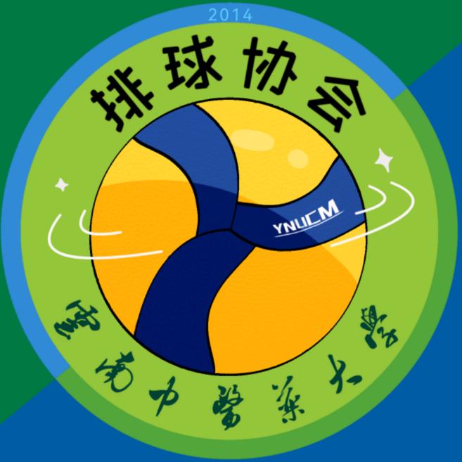 排球小分队