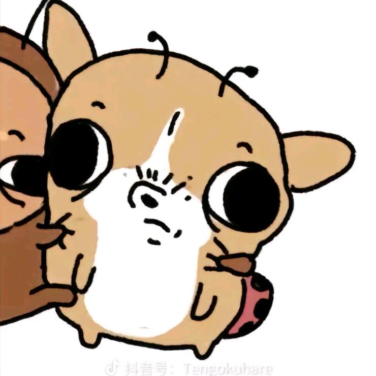 关关关御景_养成ing