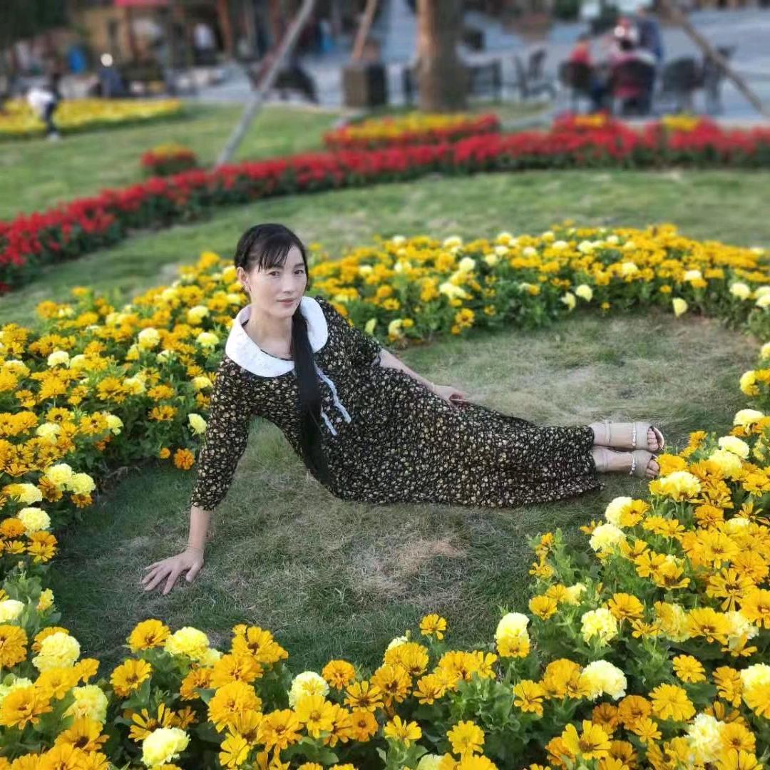 梦.
