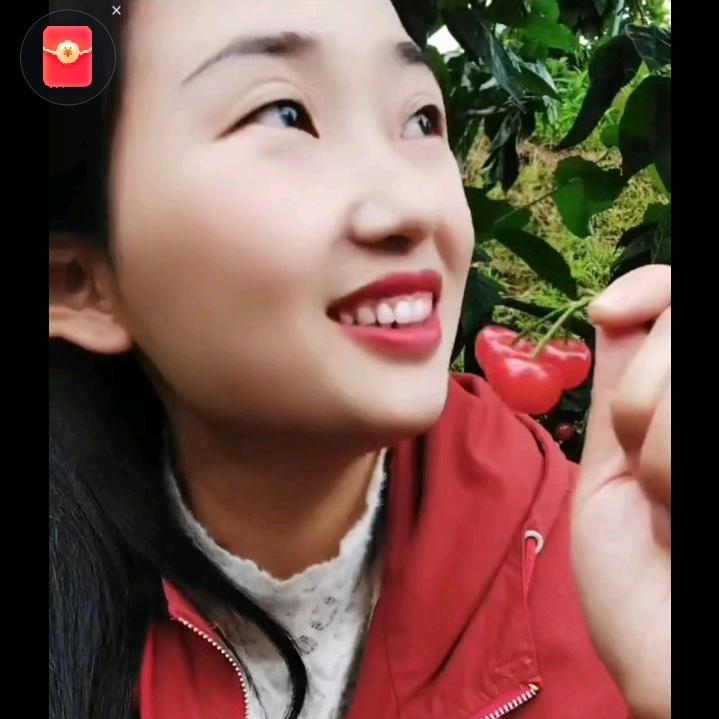 棉花弟弟