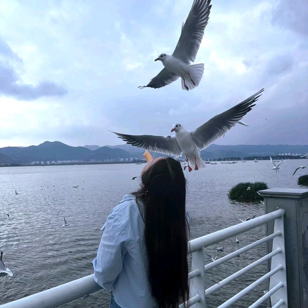 এ᭄向阳🌸花开ོꦿృ༊: