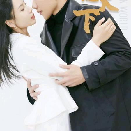 幸福之家22563339173