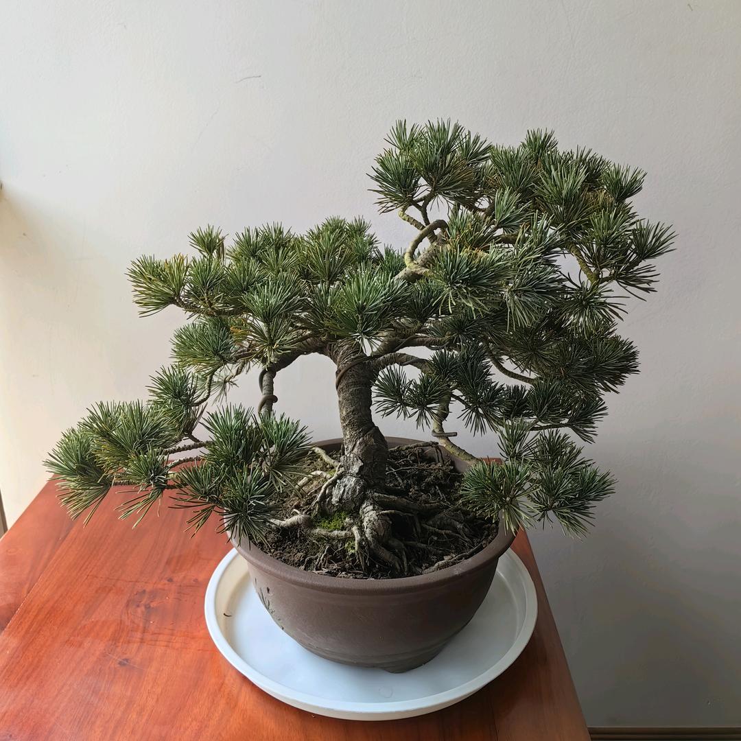 好达食品