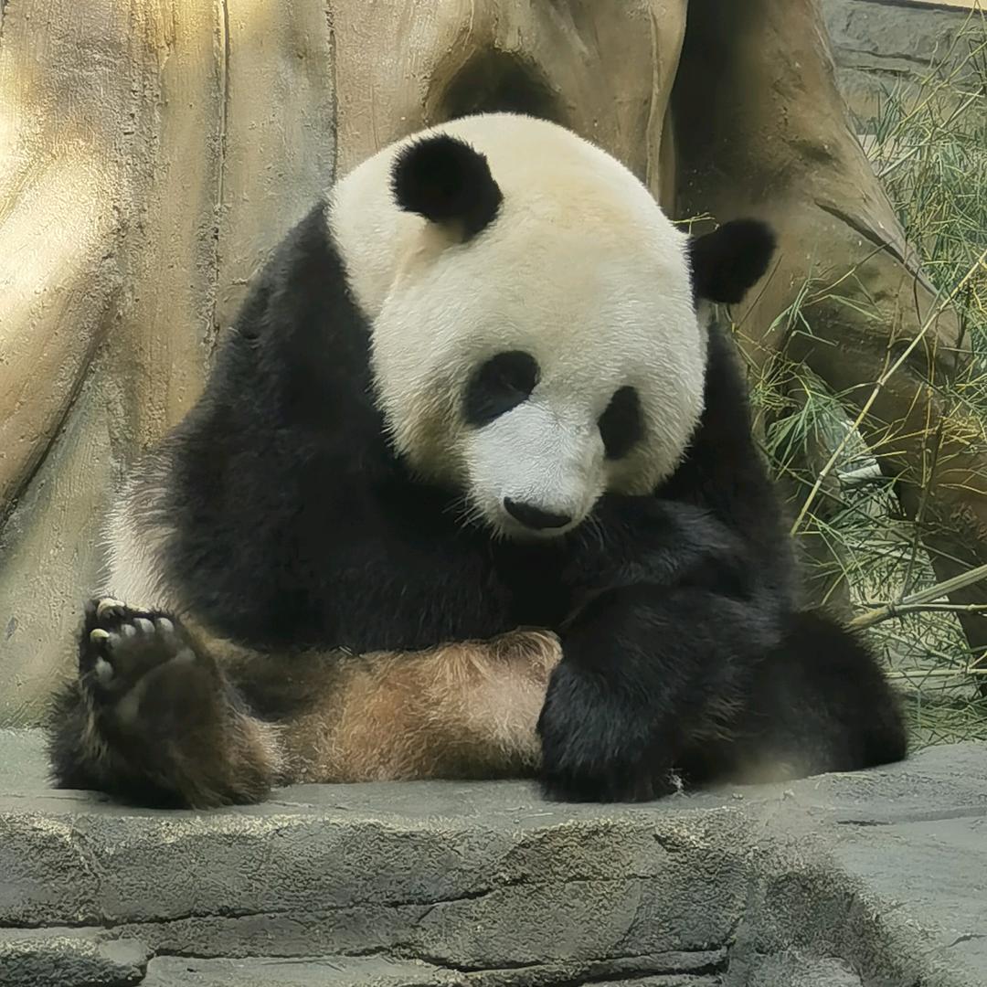 简单好记还好看