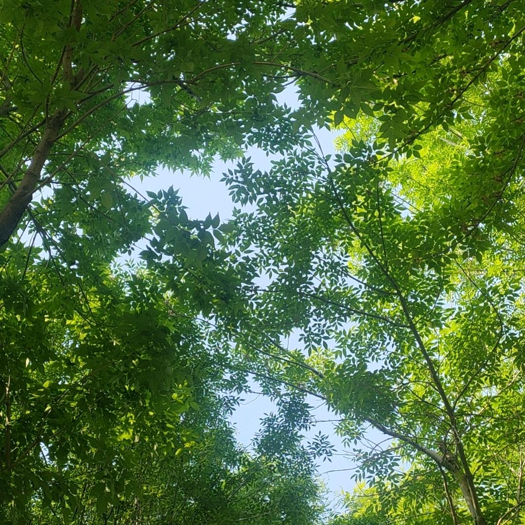 kygfgy