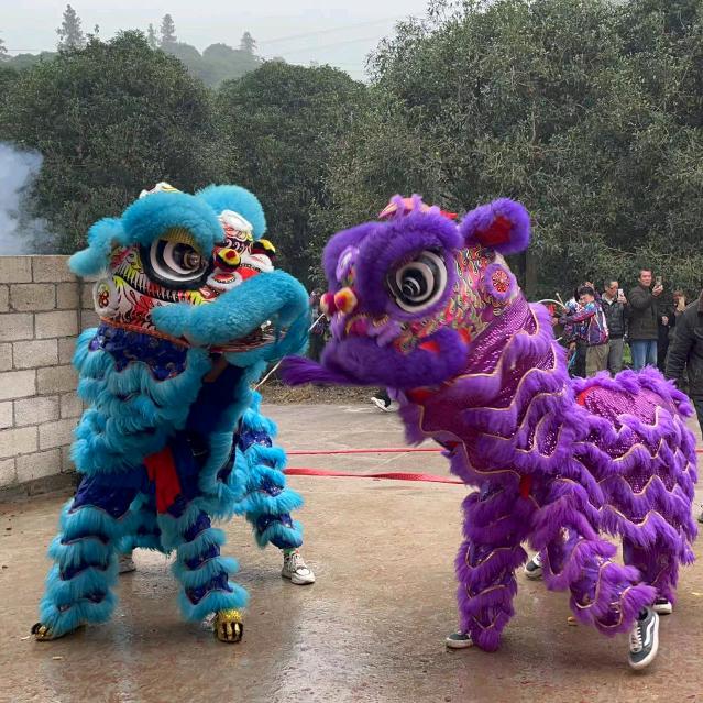 龙牙舞狮团队