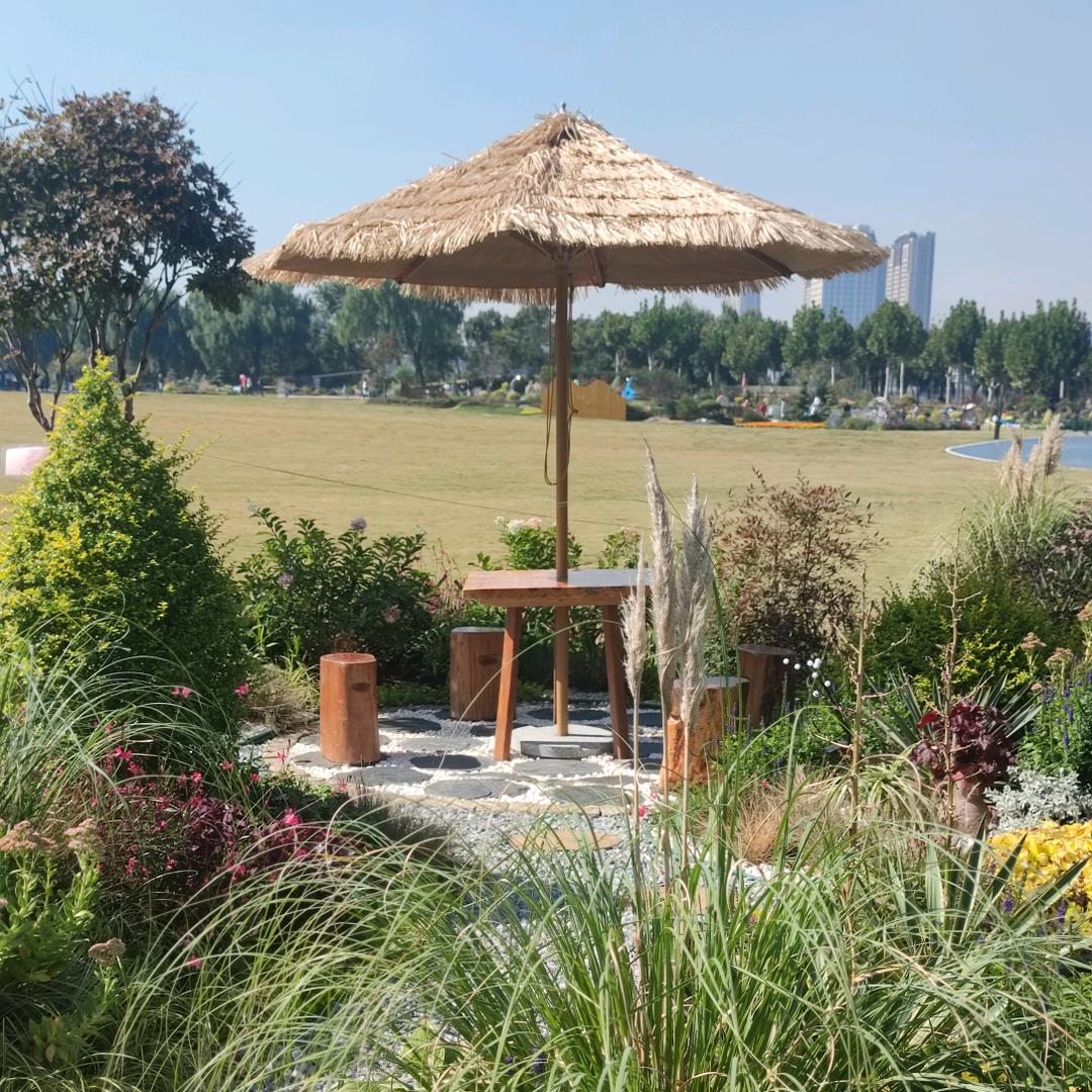 余生安好🎉🎉🎉