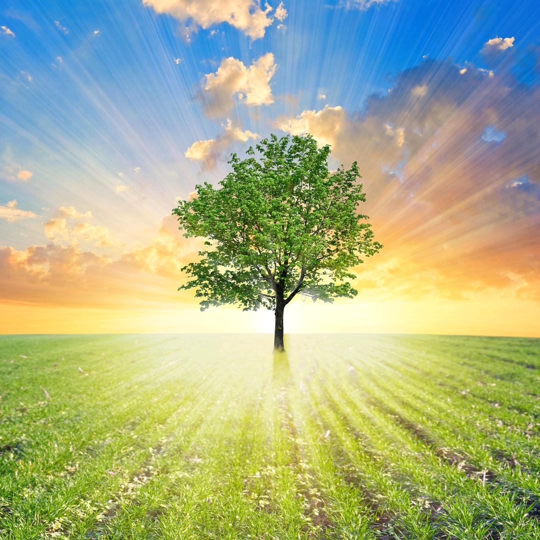 💕᭄ꦿ暴富暴美᭄ོ࿆༊💞