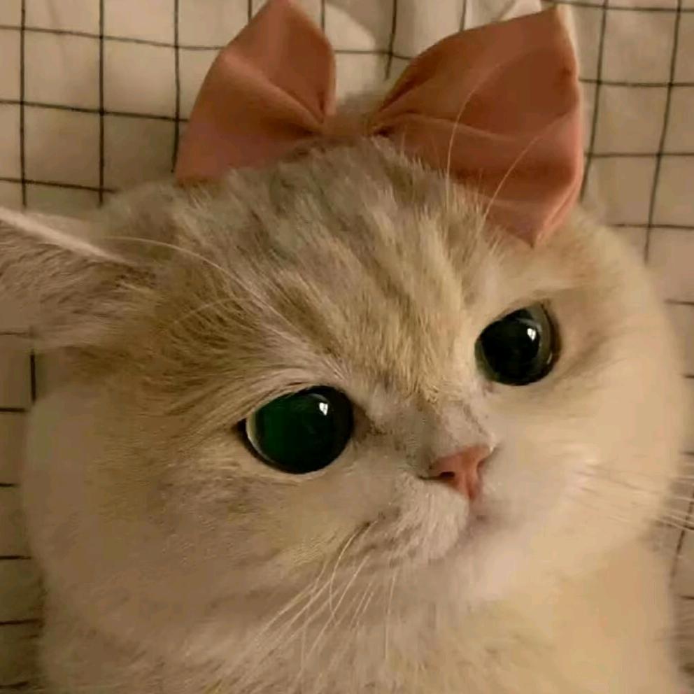 林黛玉暴打西门庆