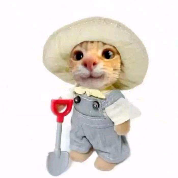 小情 緒