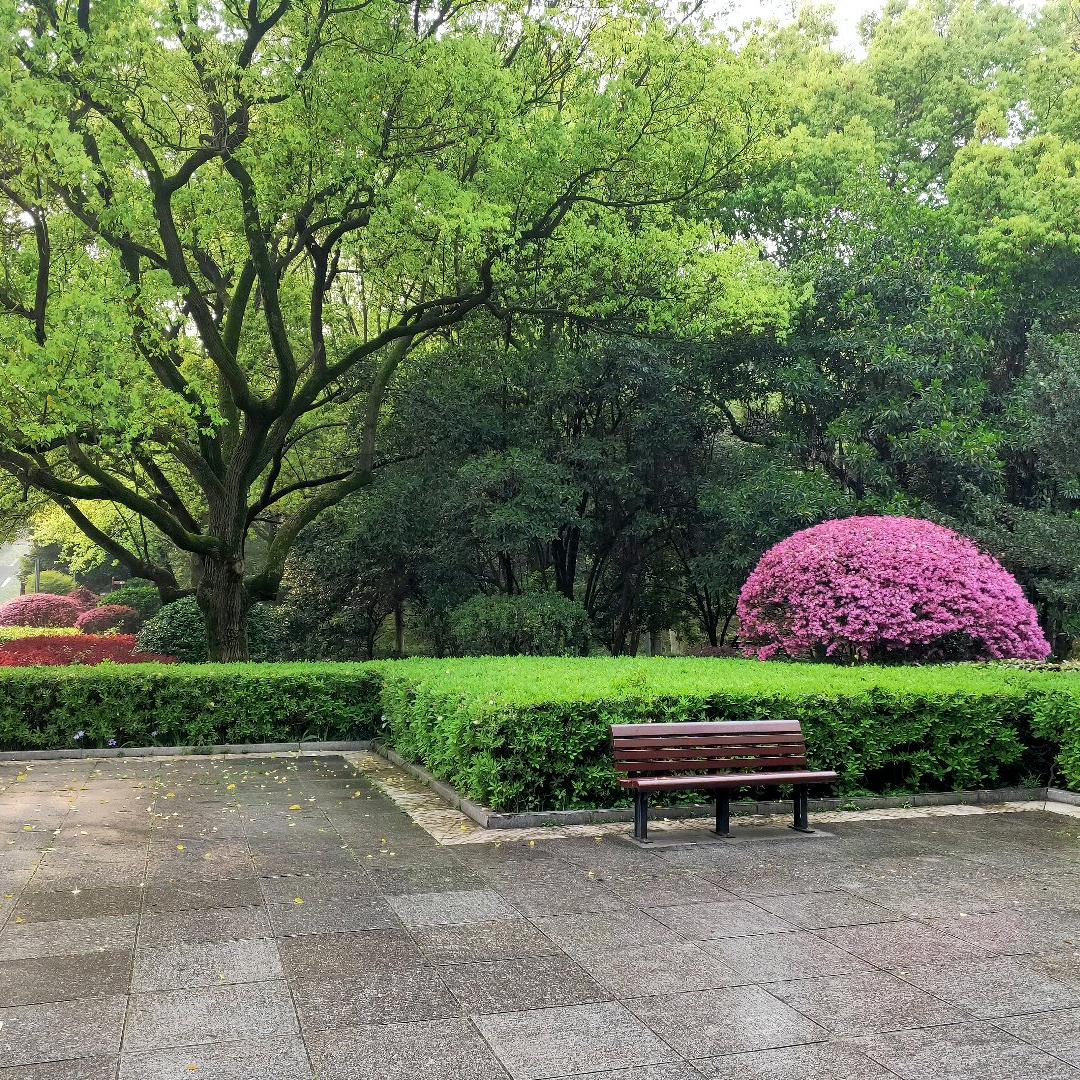 湘A快运🇨🇳Zsx