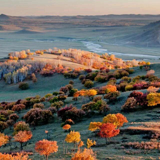 用户9161206935096天涯