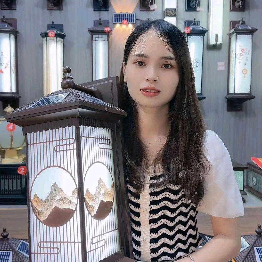 中山炫耀太阳能灯饰