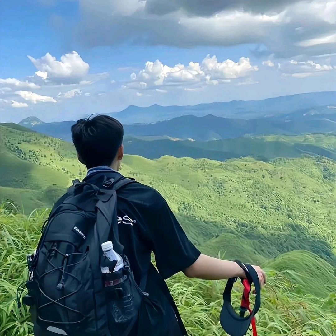 金同学