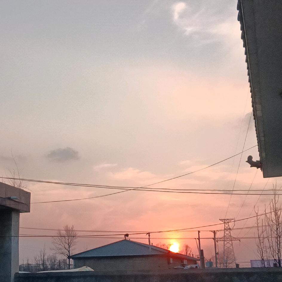 王春绿