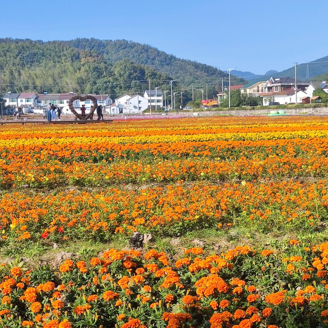不空军(彩虹团)