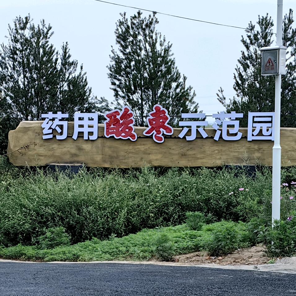 酸枣兄弟