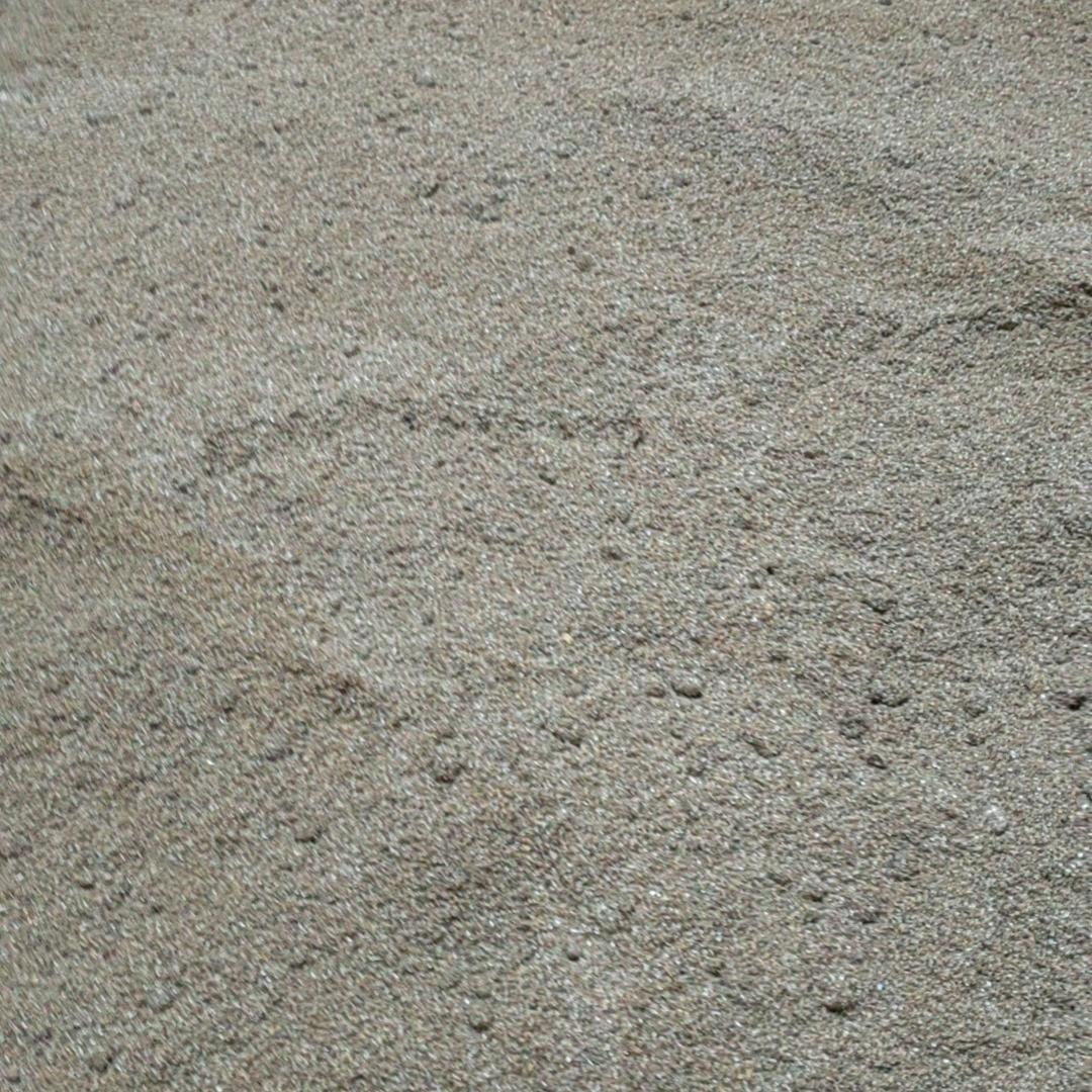 往事随风¹³⁷⁶ 🐾