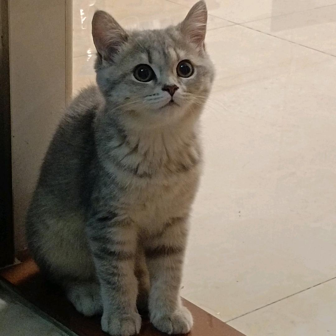 钱程与虔诚