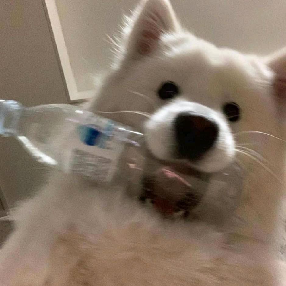 桥北