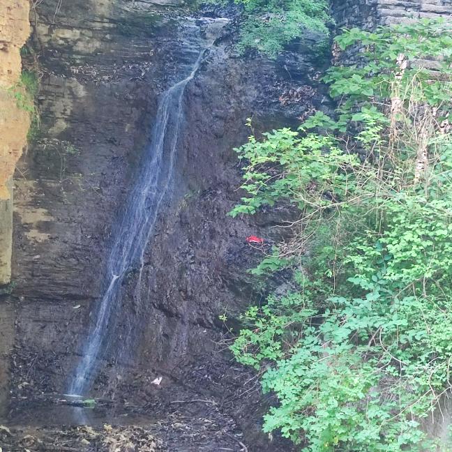 🐱猫十七§汪米团🐶