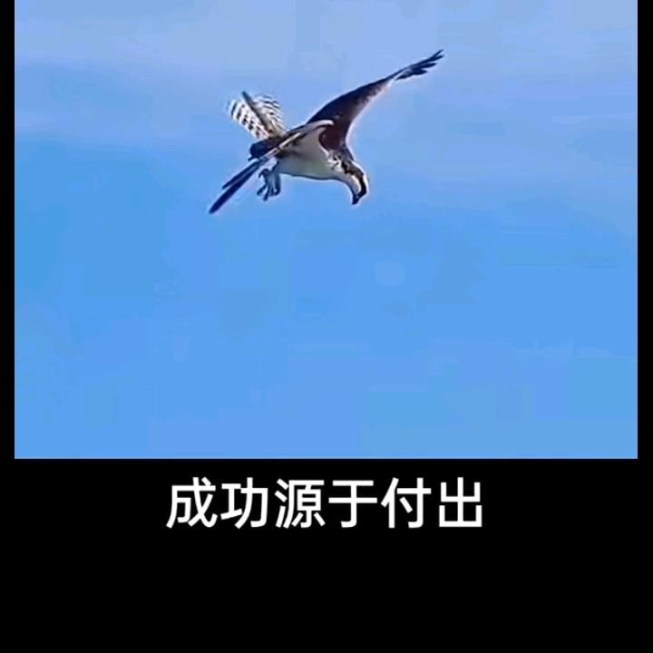 海边