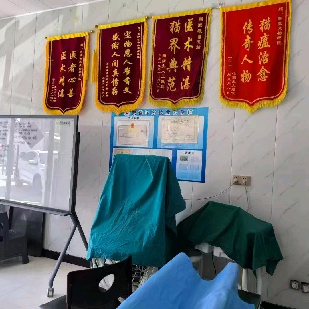 职教中心文文动物医院