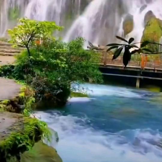 💔自由飞翔💔