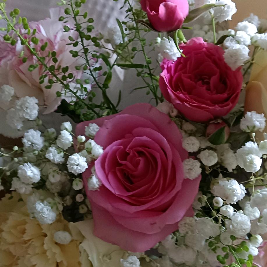 💞🍀一生有你