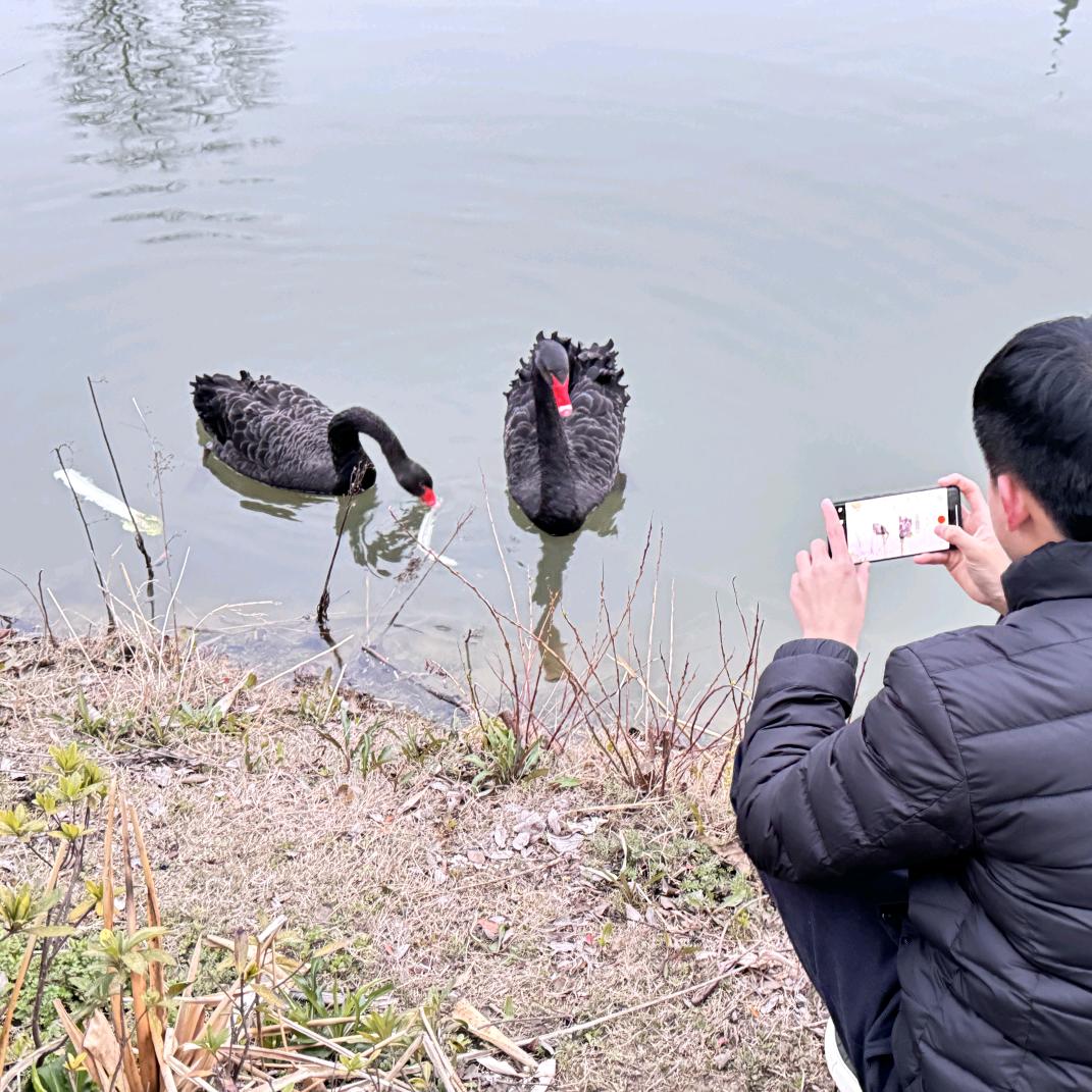 相遇🇨🇳