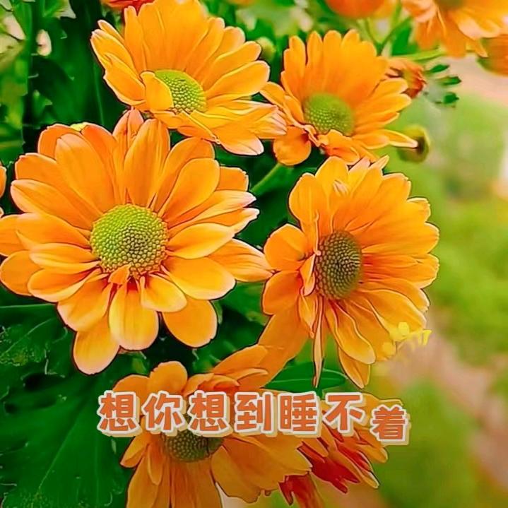 心情快乐