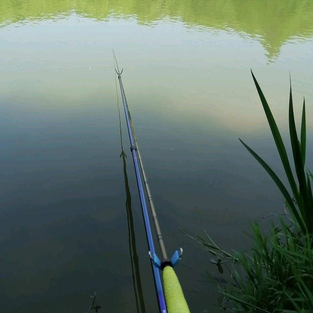 🌈没事健健身 有空钓钓鱼🎣