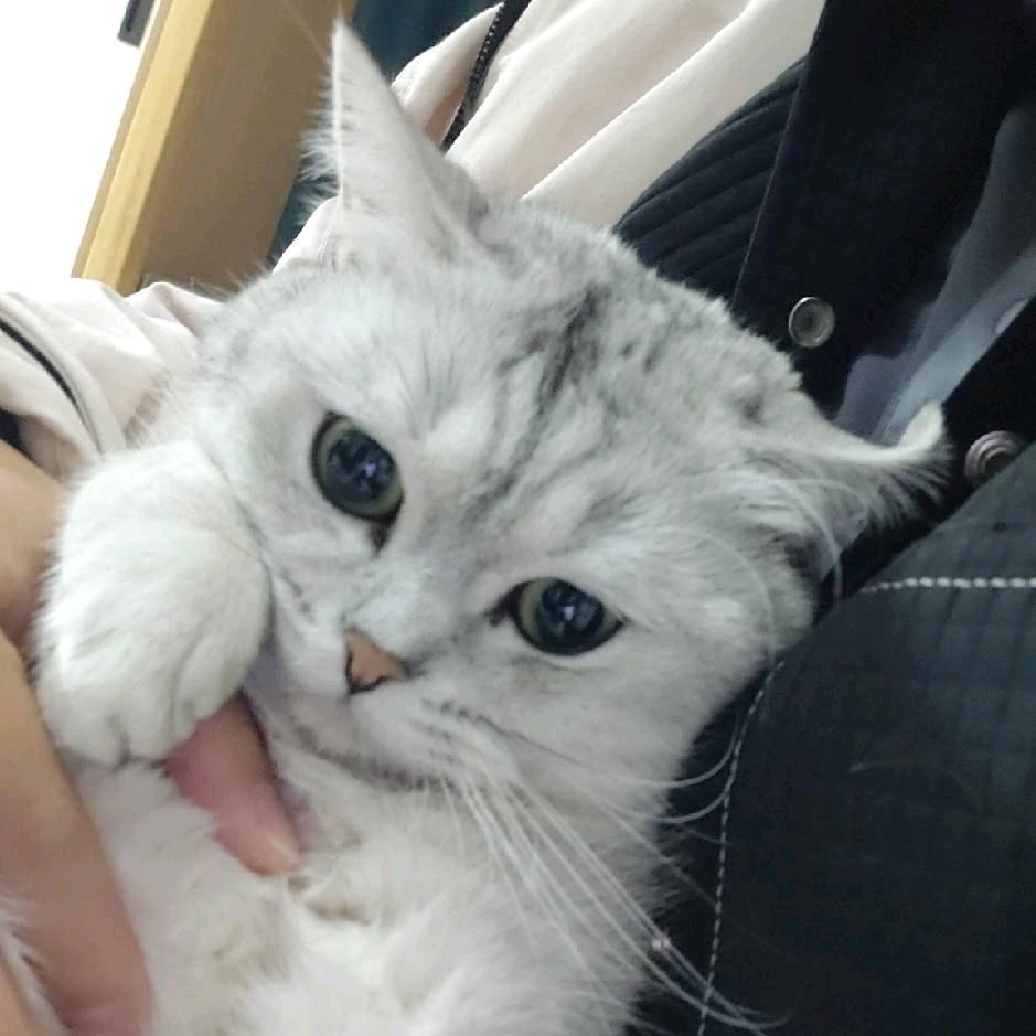 小溢