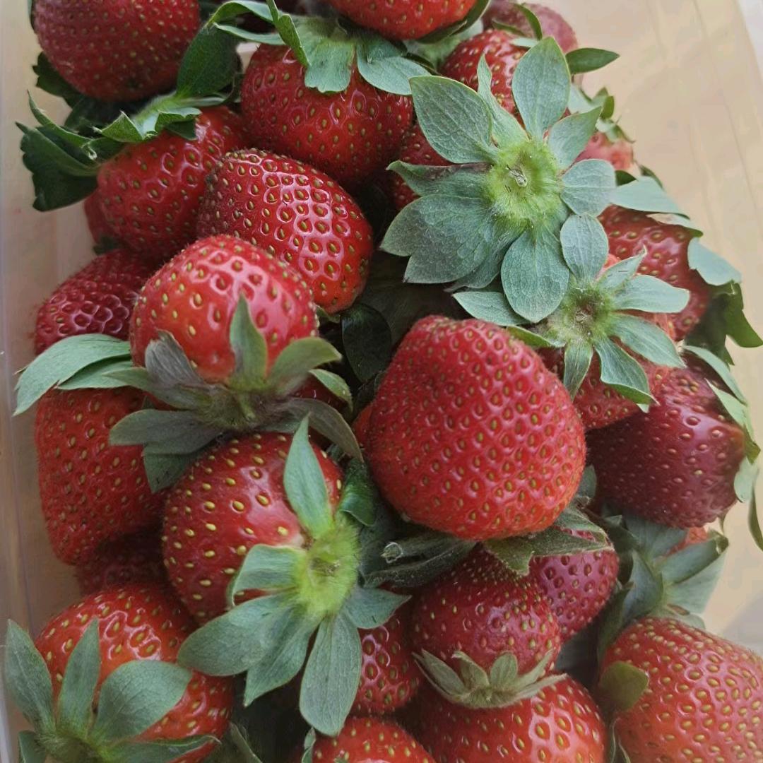 清清姐