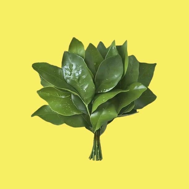 《希朵女装》同城配送