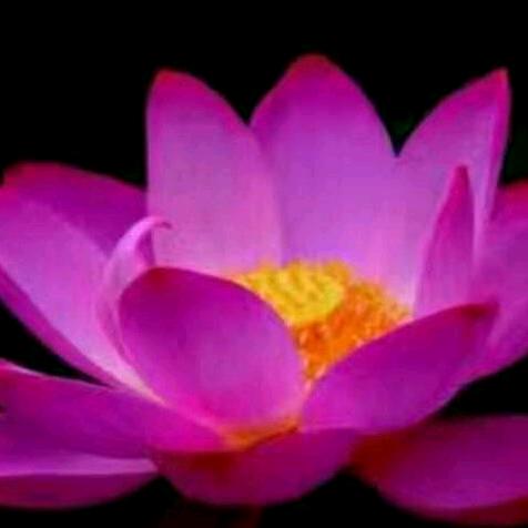 爱唱歌爱跳舞的阿娇