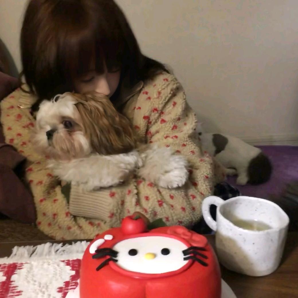 皖幼不吃菜_^
