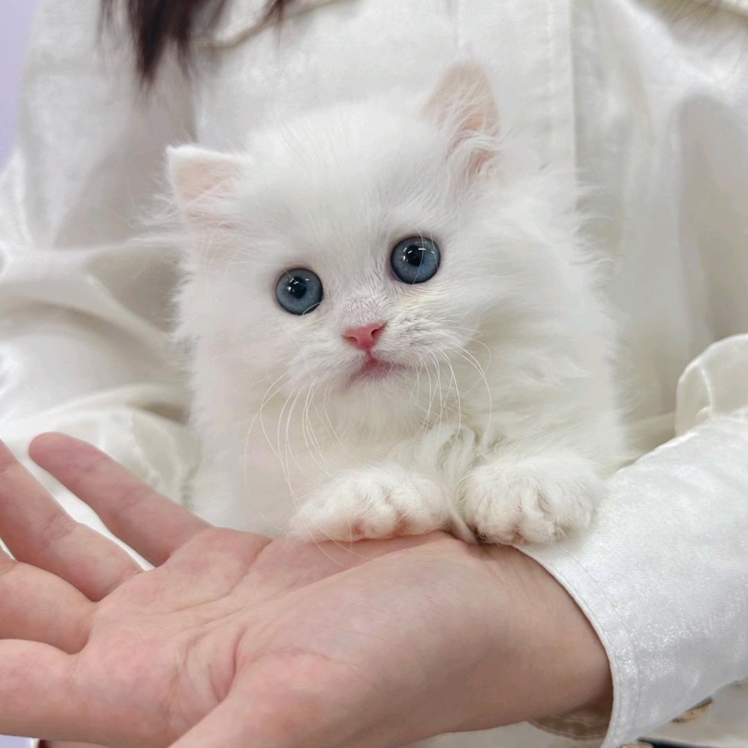 小熊熊