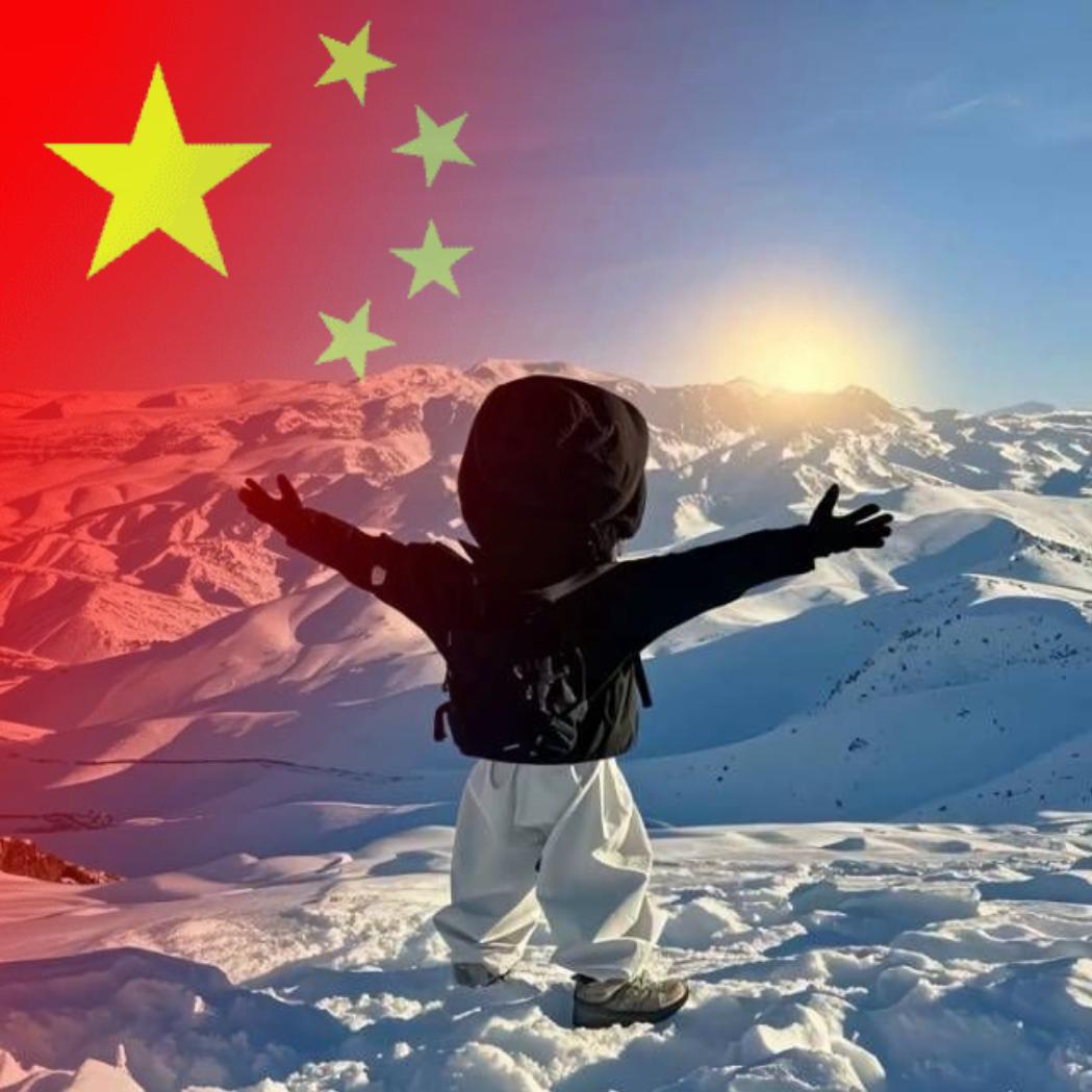 小杨