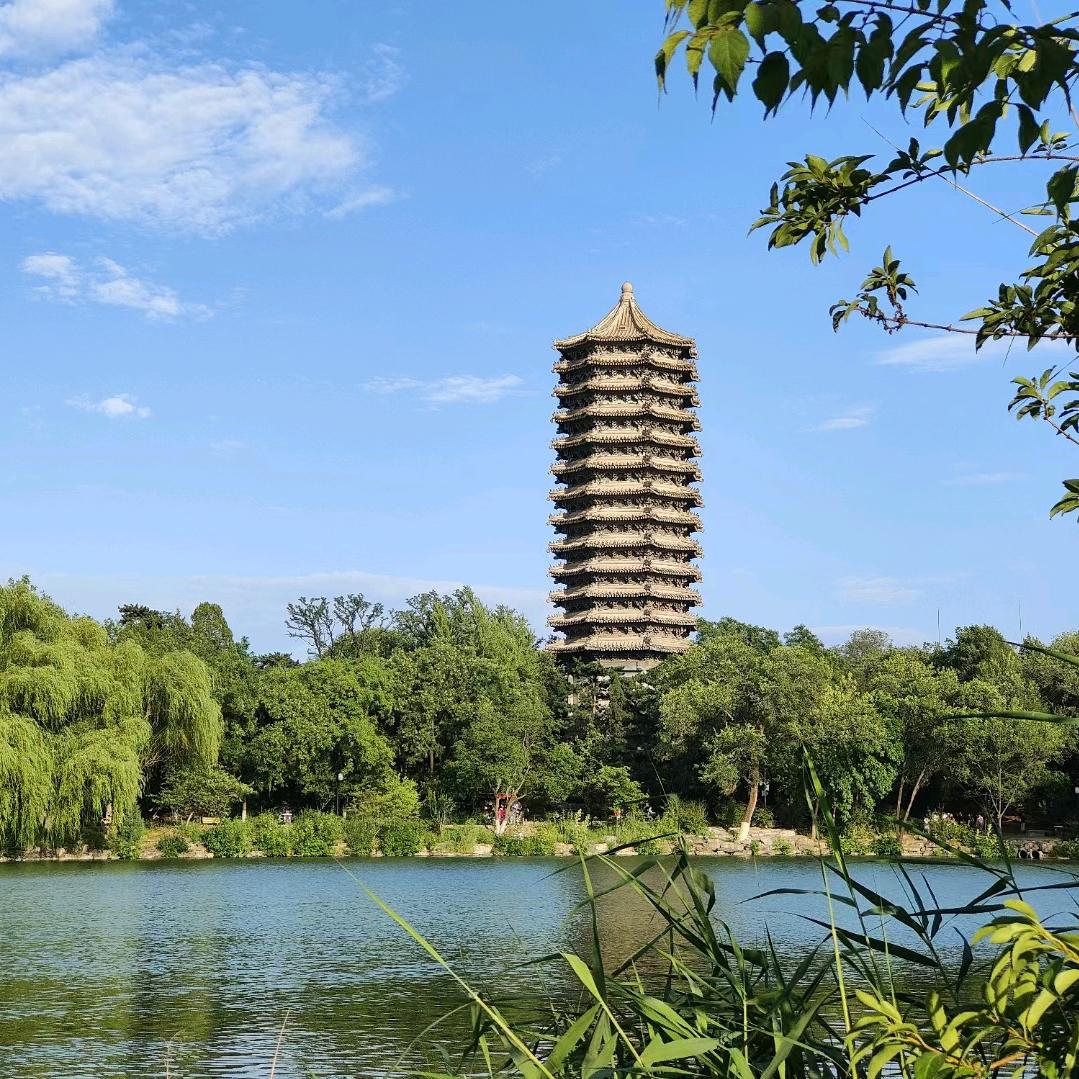 师旭非洋（童年记录者）