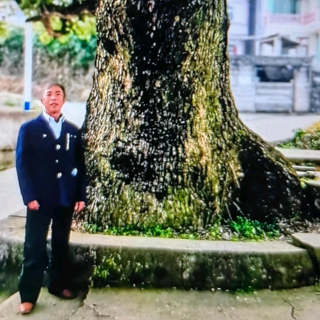 好久不见