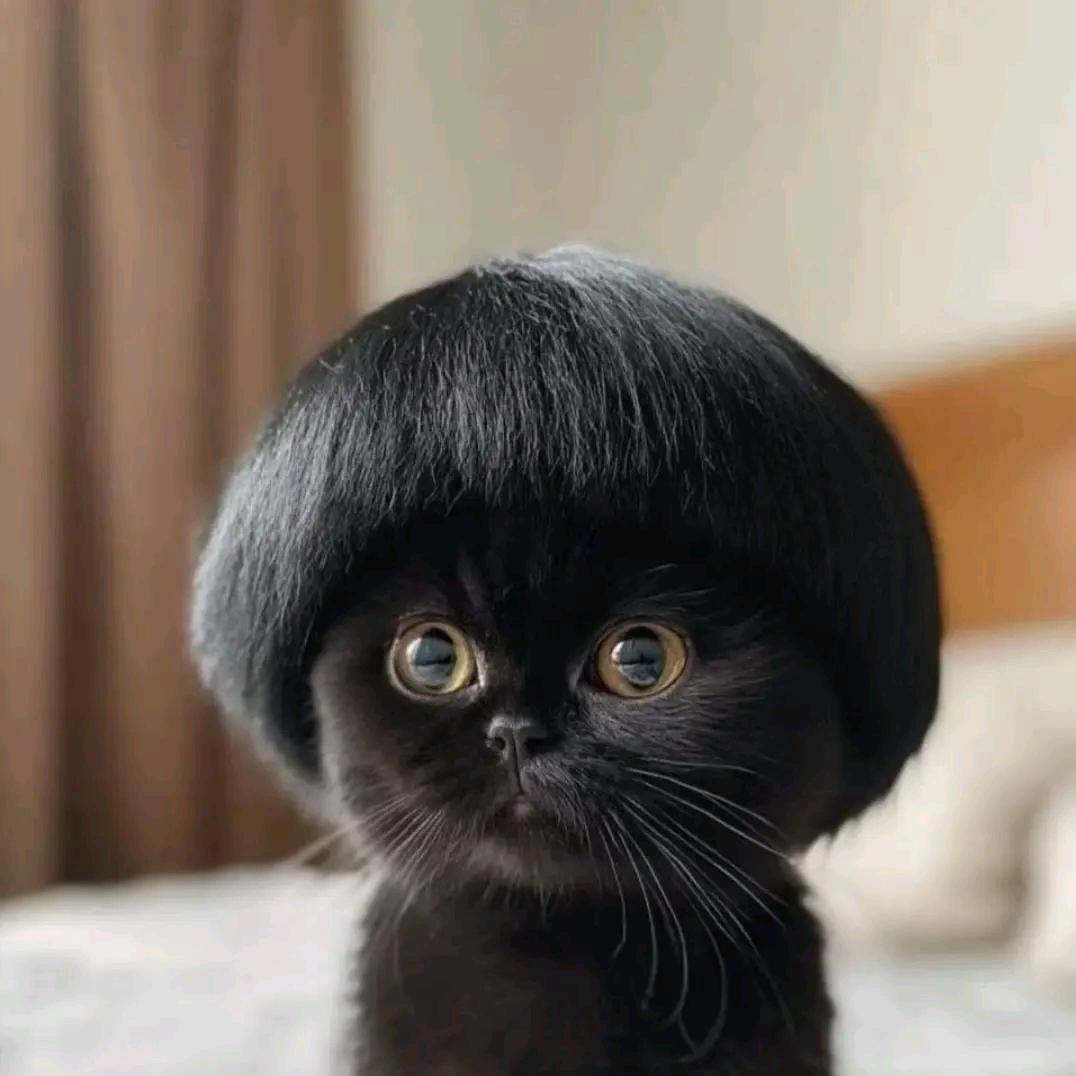小小廖😏