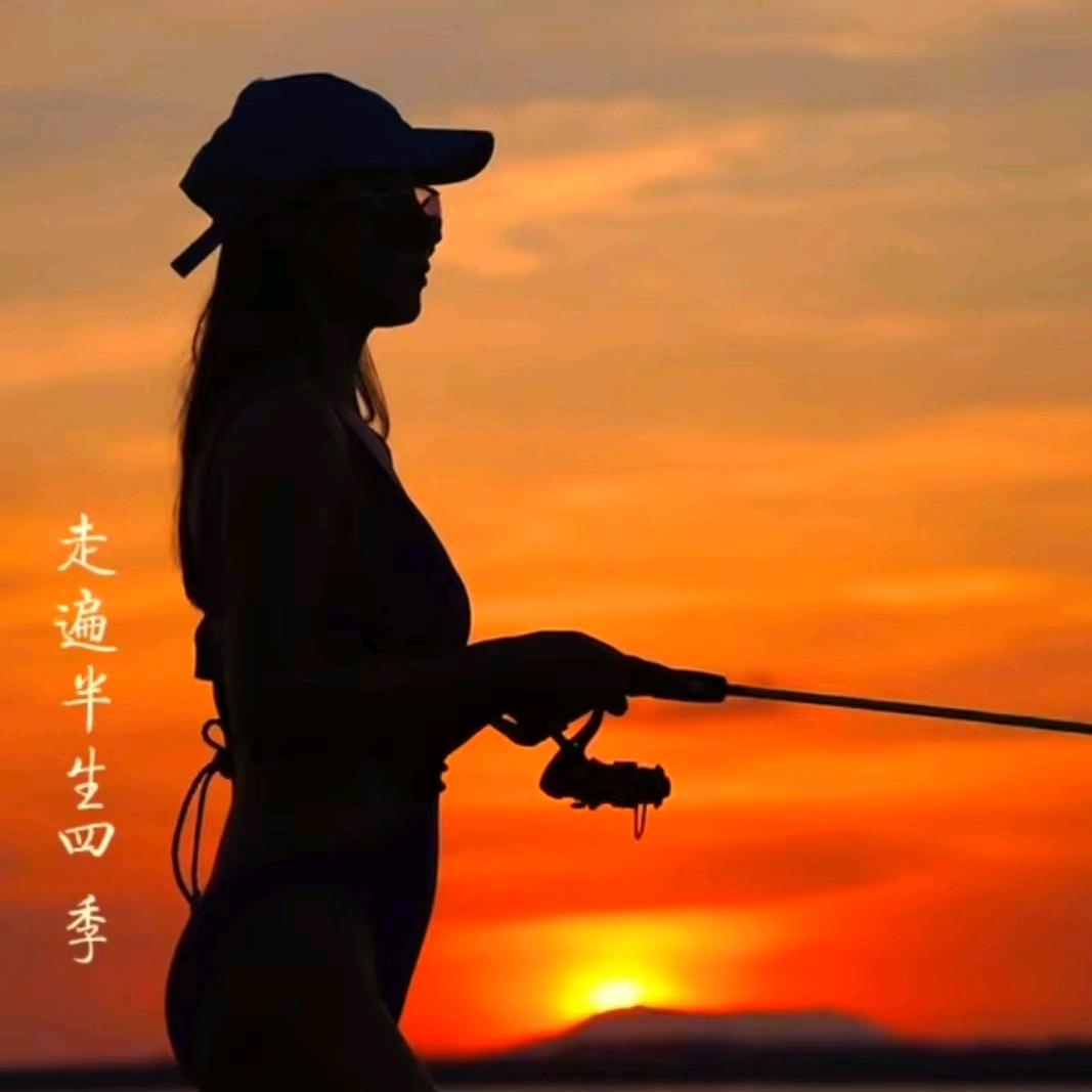 钓届刘亦菲
