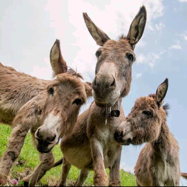 seven🐏宇壮🐏✔