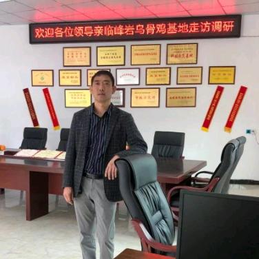 平哥（养鸡服务号）