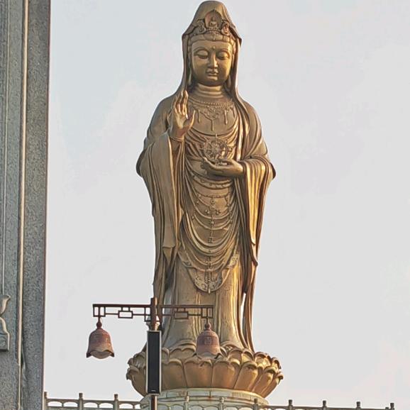 禅悟人生