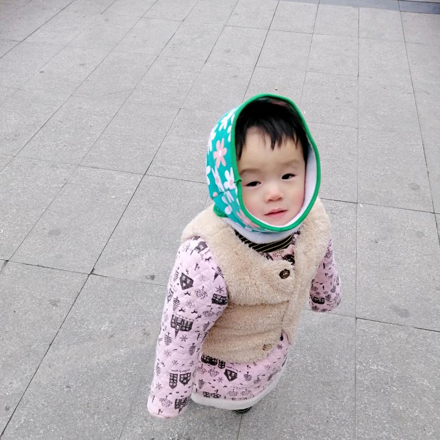 二月春风柳叶刀